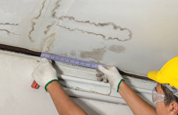 Reliable Mold Remediation contractor in Lexington, NC by Water Damage Irwin